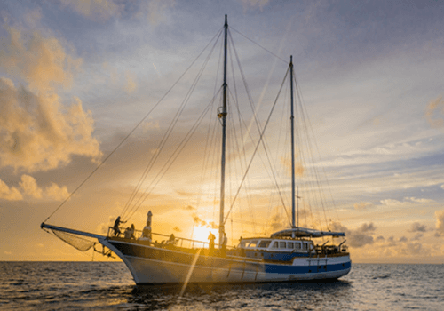 Meeru sunset trip yate