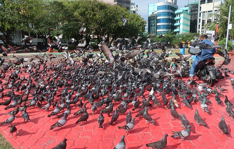 Sultan Park Malé Maldivas