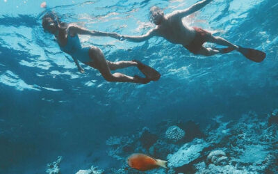 Las 10 mejores islas baratas con snorkel en Maldivas